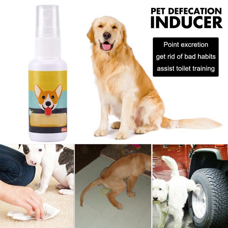 1 Stuks Hond Potje Trein Spray - Travel Accessories In Train recensie en prijs