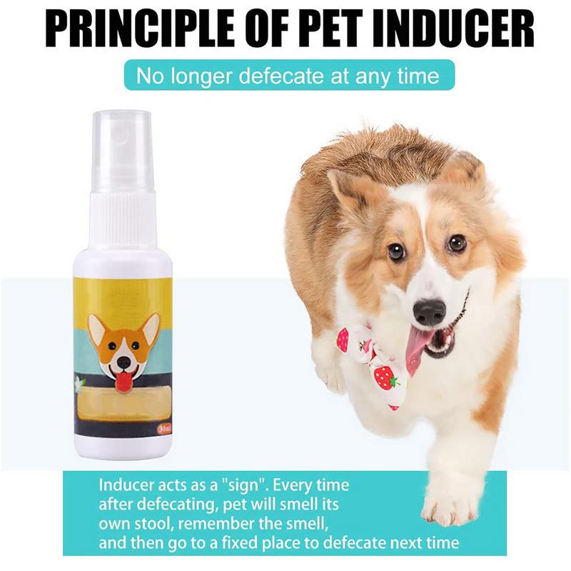 1 Stuks Hond Potje Trein Spray - Travel Accessories In Train recensie en prijs