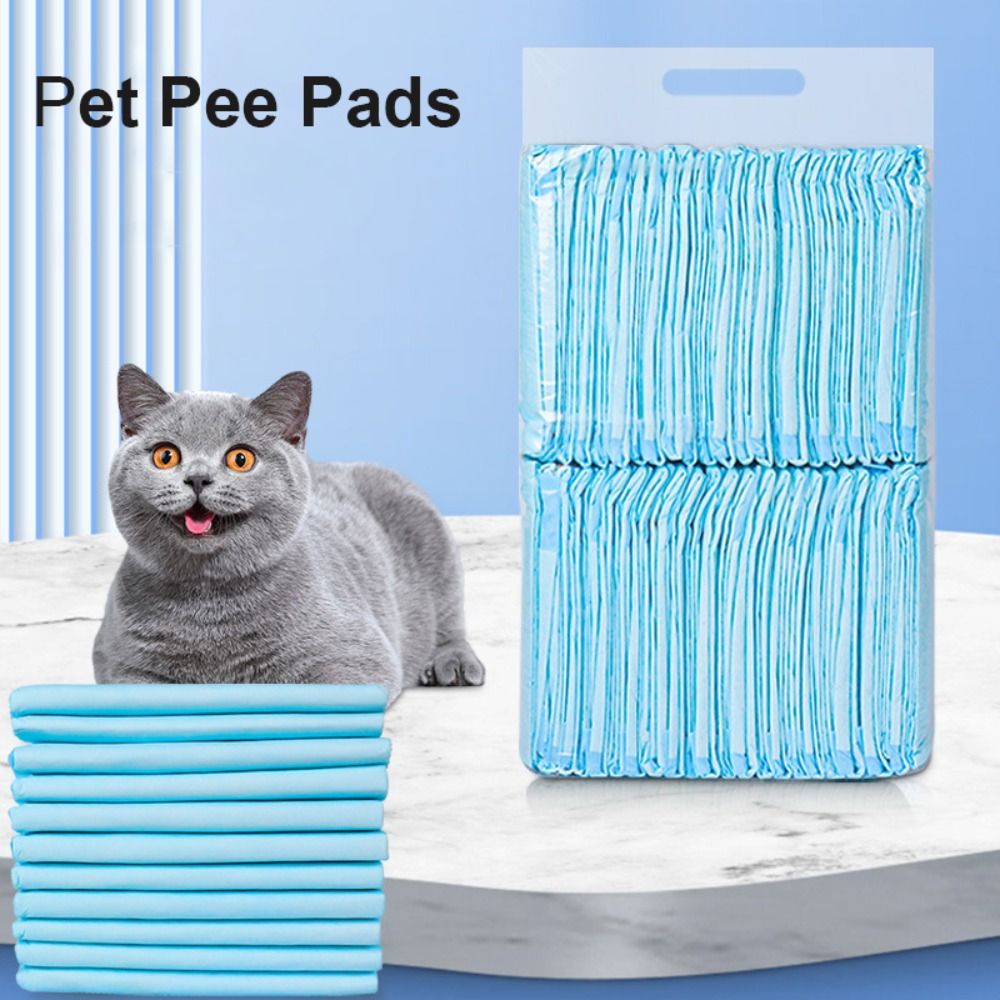 100/50/40/20 Stuks Verdikte Pe - Quality Travel Accessories recensie en prijs